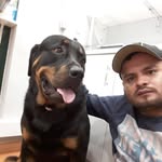 Carmelo Rios Acosta - @acostacarmelorios - Instagram