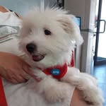 Carmelo Rizzo - @carmelo.rizzo.5872 - Instagram