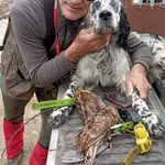Carmelo Rizzo - @carmelorizzo62 - Instagram