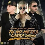 Carmelo Rocha - @carmelo.rocha.10 - Instagram