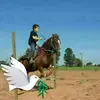 Carmelo Rojas - @carmelo.rojas71 - TikTok