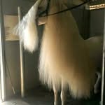 Carmelo Romero - @carmelo_romero__212 - Instagram