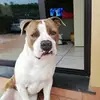 Carmelo Scalia - @carmelo.scalia - TikTok