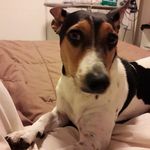 Carmelo Sciortino - @carmelo.sciortino.54 - Instagram