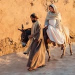 Carmelo Sciuto - @carmelo_sciuto_don - Instagram