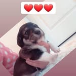 Thomas carmelo - @carmelothomas00 - Instagram