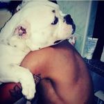 Carmelo Tripodi - @melo89011 - Instagram