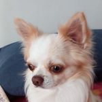 Carmelo Tripodi - @carmelo.tripodi.79 - Instagram