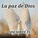 carmelo velez - @velez.carmelo - Instagram