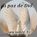 Carmelo velez - @carmelo.velez56 - Instagram