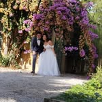 Carmelo Vitale - @vitale.carmelo - Instagram