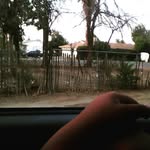 carmelo wright - @carmelo_loc - Instagram