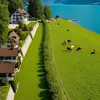 Carmelo Zarza - @carmelo.zarza3 - TikTok