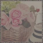 Carmen Abbott - @cioiscap - Instagram