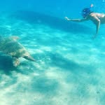 Carmen - @carmen_____abbott_0wukv - Instagram