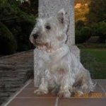 Carmen Fernandez Abuin - @mcarmenfernan - Instagram