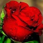 Maria Abuin - @mariadelcarmenabuindoval - Instagram