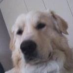 Carmen Achille - Facebook