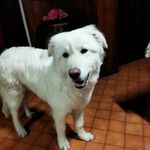 Carmela Anzalone - @carmela.a68 - Instagram