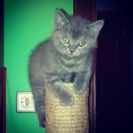 цармен аустин - @carmenaustin396 - Instagram