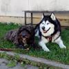 carmenbaierl0815 - @carmenbaierl0815 - TikTok