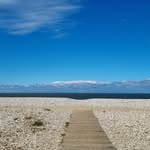 Carmen Benson - @huney.bug - Instagram