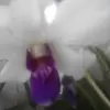 carmenbenson880 - @carmenbenson880 - TikTok