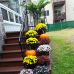 Carmen Bergeron - Facebook