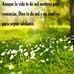 Carmen Bernard - Facebook