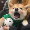 Bernstein Carmencita - @bernstein.carmenc - TikTok