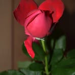Carmen Bertolo - Facebook