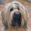 Carmen Binder - @carmen.binder0 - TikTok