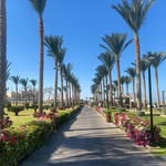 Carmen Bishop - @carmenbishop148 - Instagram
