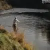 Carmen Bishop - @carmen.bishop56 - TikTok