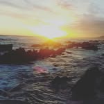 Carmen - @carmen_bishop.backup_ - Instagram