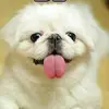 Carmen Black - @carmen.black68 - TikTok