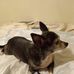 Carmen Sue Black - Facebook