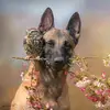 carmen - @carmenblue_eyes - TikTok