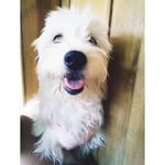 Carmen Boada - @carmenboadacarrido - Instagram