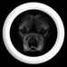 Carmen Bock - Facebook