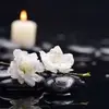 Bodiu Carmen - @bodiu.carmen - TikTok