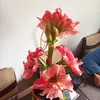 Carmen Bodiu - @carmen.bodiu - TikTok
