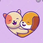 rumo a 💯 seguidores ❤️ - @bolinha_carmen - Instagram