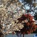 Carmen Borg - Facebook