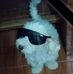 Carmen Bosque - Facebook
