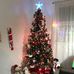 Carmen Bosques - Facebook