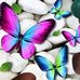Carmen Arce Botella - Facebook
