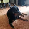 Carmen Botella - @karmenxu74 - TikTok
