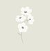 Carmen Botella - Facebook