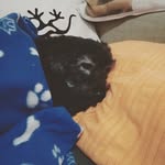 Carmen Garcia Botella - @carmengarciabotella - Instagram